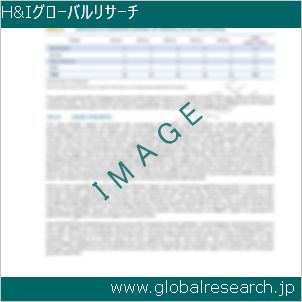 グローバルリサーチ調査レポートのイメージ